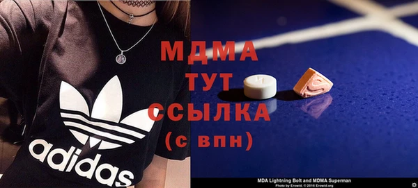 мдпв Краснослободск