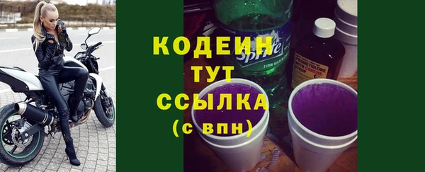 мдпв Краснослободск