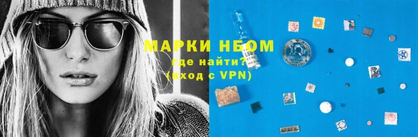 мдпв Краснослободск