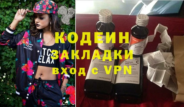 мдпв Краснослободск