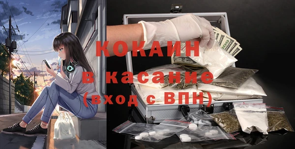 мдпв Краснослободск