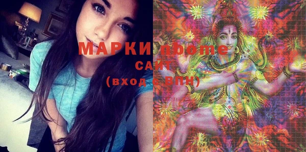 мдпв Краснослободск