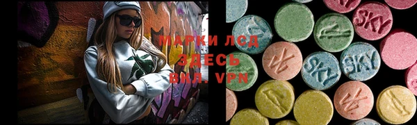 мдпв Краснослободск