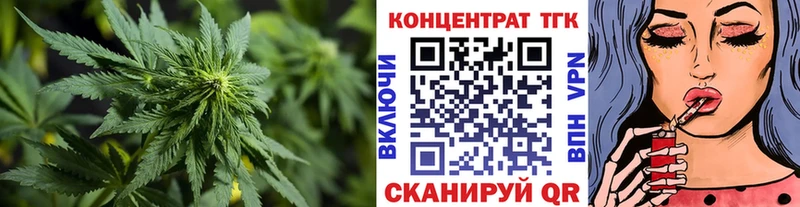 Купить Судак Дистиллят ТГК вейп с тгк