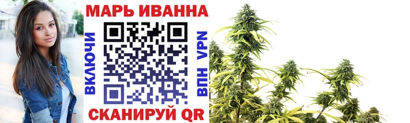 Купить закладки  Судак  Конопля сатива 